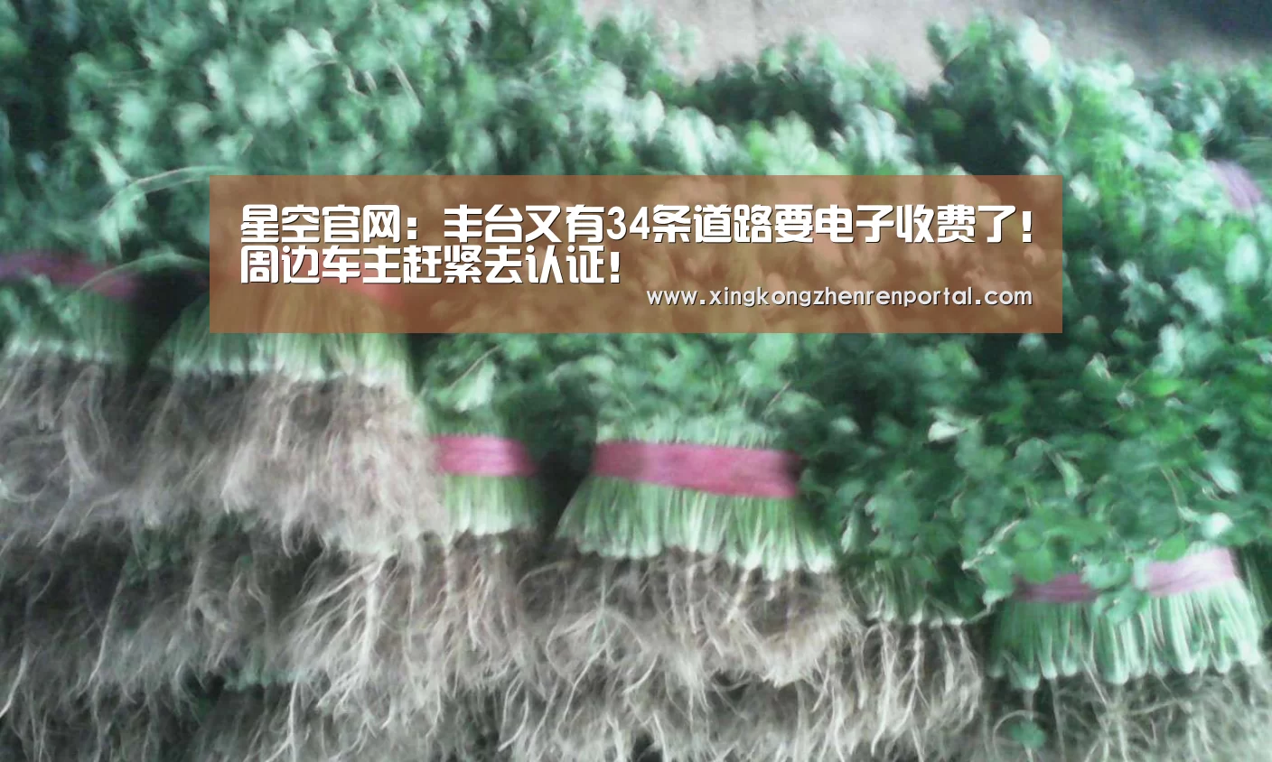 星空官网:丰台又有34条道路要电子收费了!周边车主赶紧去认证!(图2) 星空官网