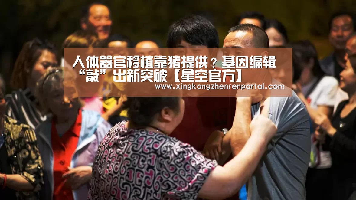 人体器官移植靠猪提供?基因编辑 “敲”出新突破【星空官方】(图1) 星空官网