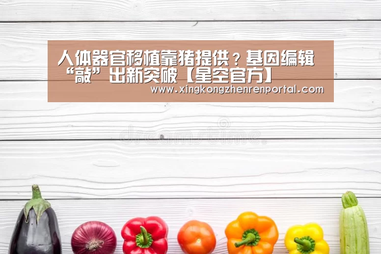 人体器官移植靠猪提供?基因编辑 “敲”出新突破【星空官方】(图4) 星空官网