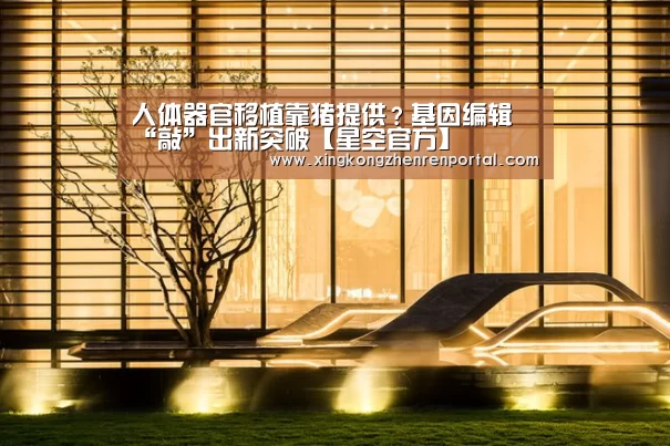 人体器官移植靠猪提供?基因编辑 “敲”出新突破【星空官方】(图3) 星空平台