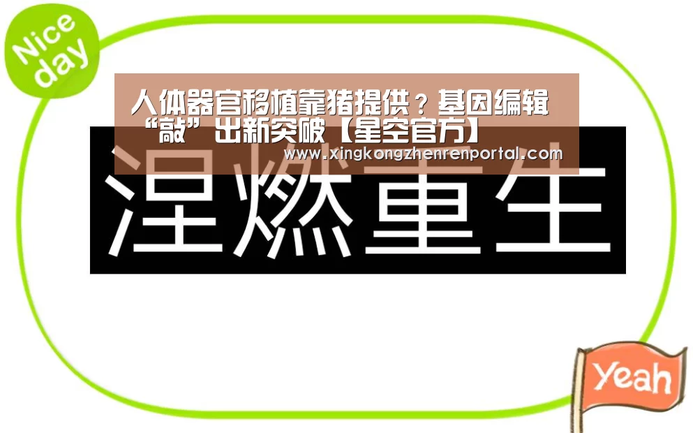 人体器官移植靠猪提供?基因编辑 “敲”出新突破【星空官方】(图2) 星空真人
