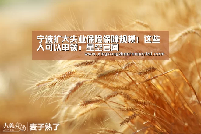 宁波扩大失业保险保障规模!这些人可以申领:星空官网(图2) 星空官网